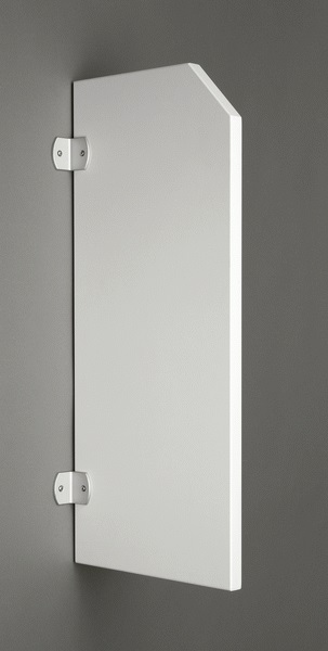 Best-Design Schaamschot (urinoir-scheidingswand) "Quaka" wit
