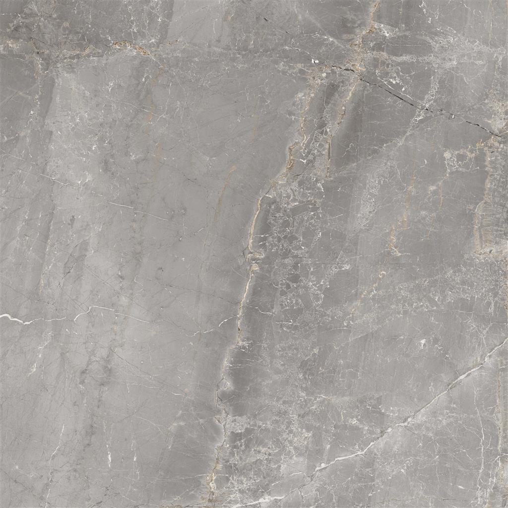 Charme Grey 60x60 (R)