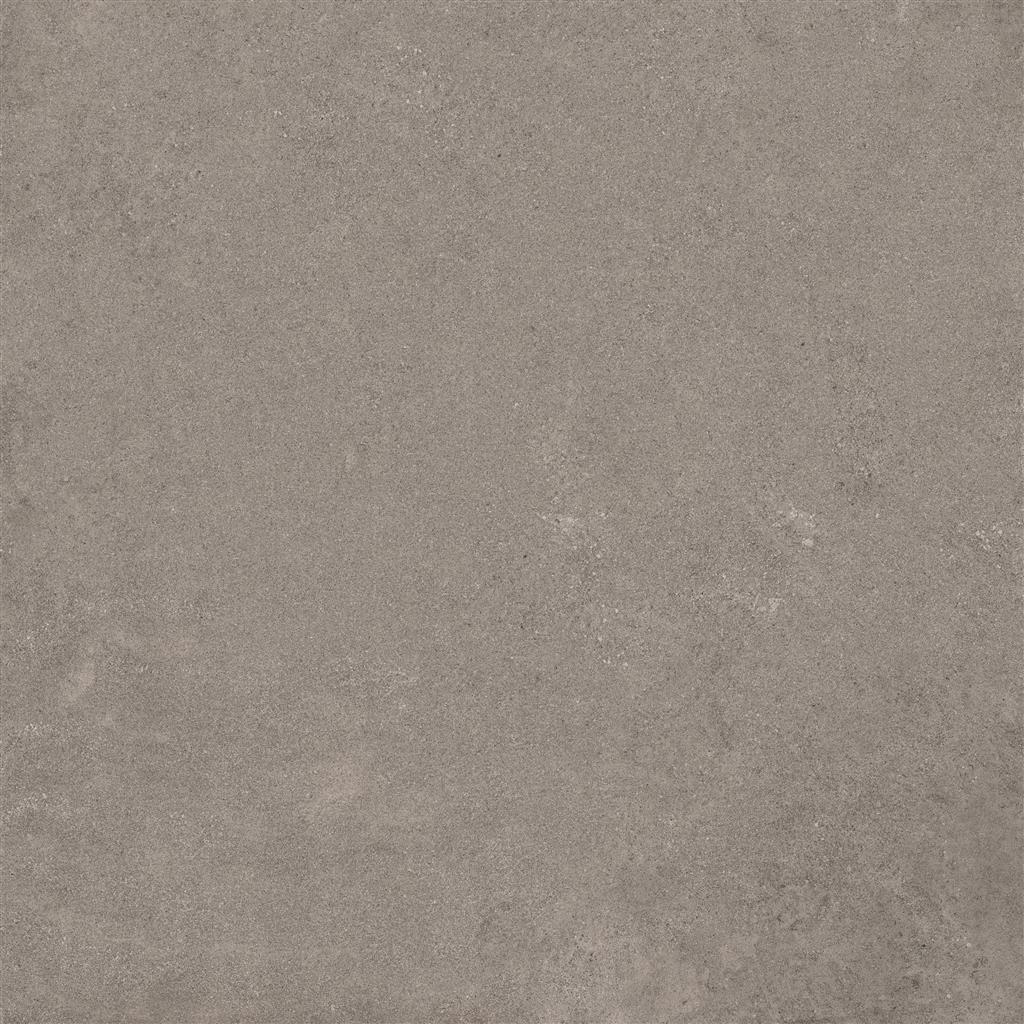 Pietra del Maniero Grigio Matt 100x100 (R)