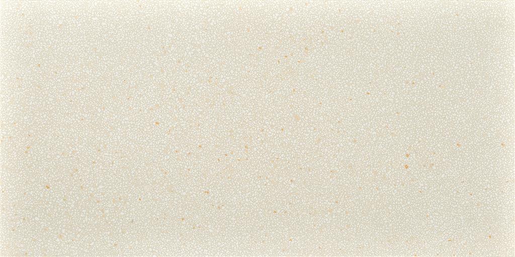 Terrazzo Mini Caolino Naturale 60x120 (R)
