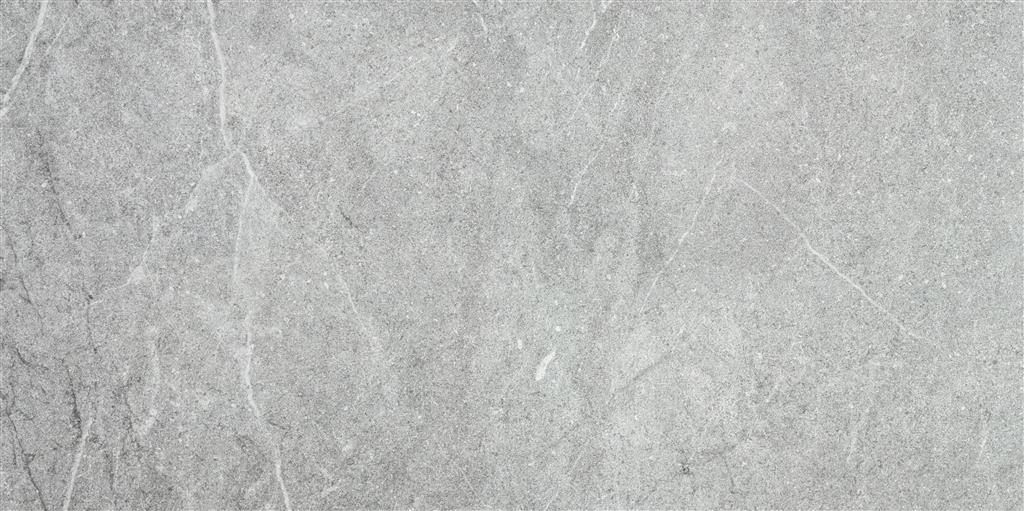 Jasper Grey Natural 60x120 (R)