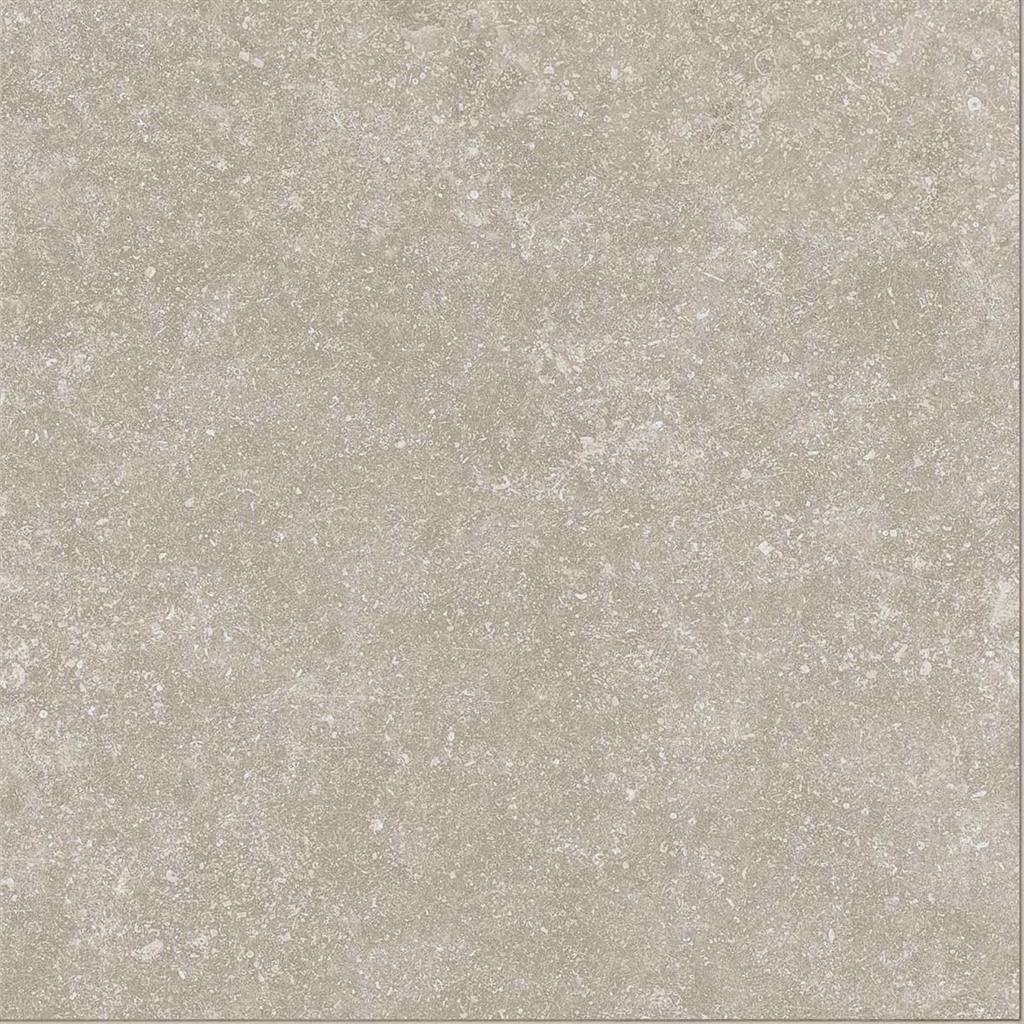 Mainz Avana 60x60 (R)
