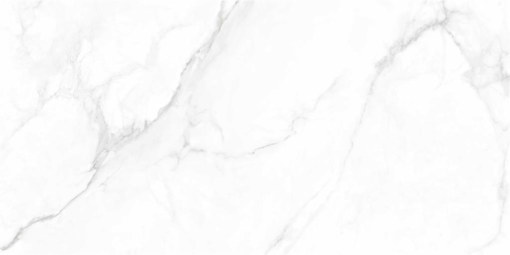 Statuario Palmero Polished 60x120 (R)