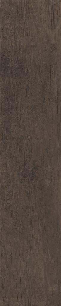 Tahoe Lodge 20x100 (R)